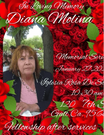 Diana Molina Obituary