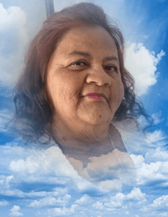 Bertha Alicia Lopez-Angulo Obituary