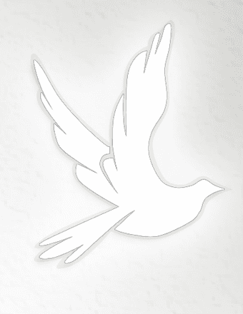 GEORGE GREGORY STEFFANI Obituary